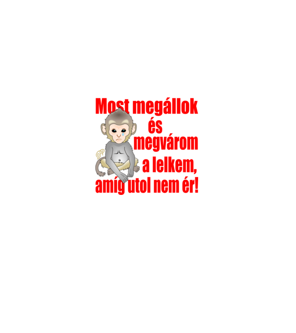  minta szürke pólón