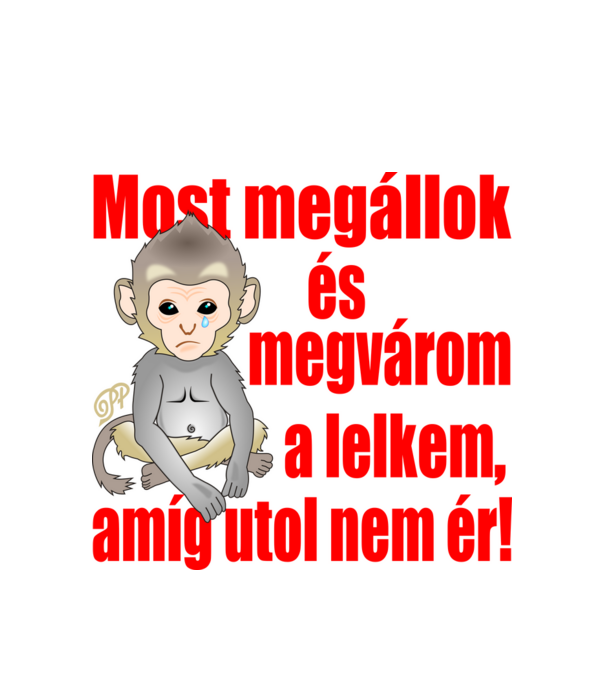  minta fehér pólón