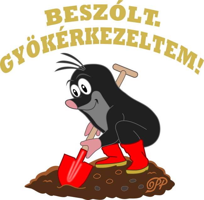 Gyökérkezelés