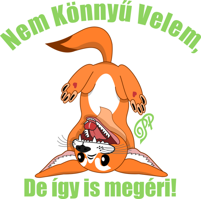 Nem Könnyű Velem