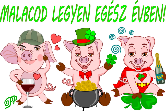 Újévi Köszöntő Kismalacokkal