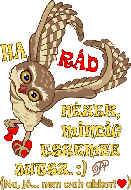 Szerelmes Bagoly Szív