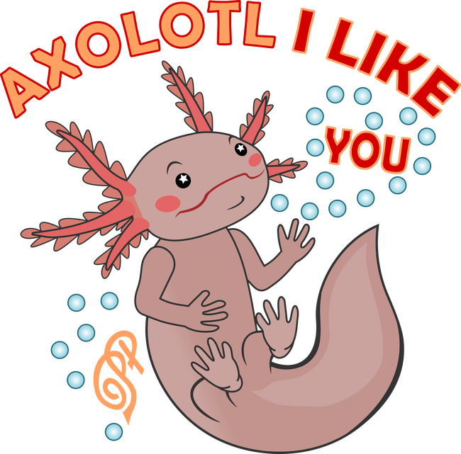 Kedvelt Axolotl