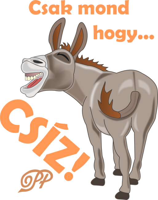 Muris Csacsi