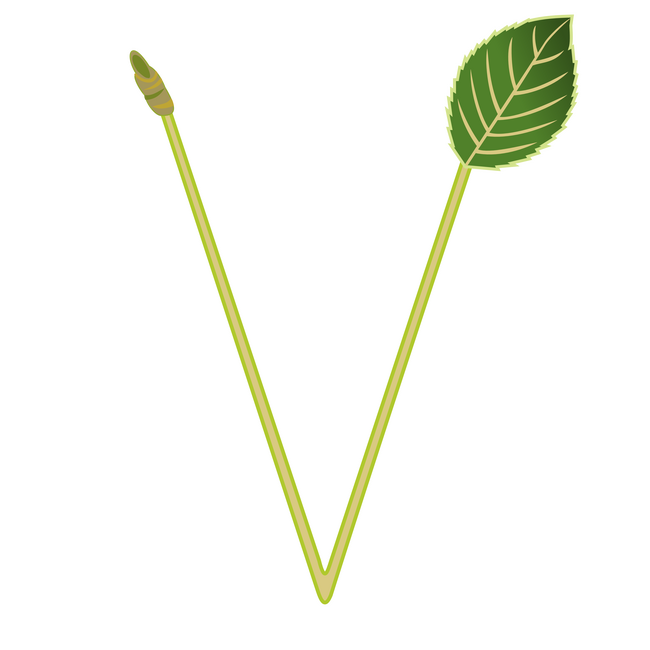 PentaGreen