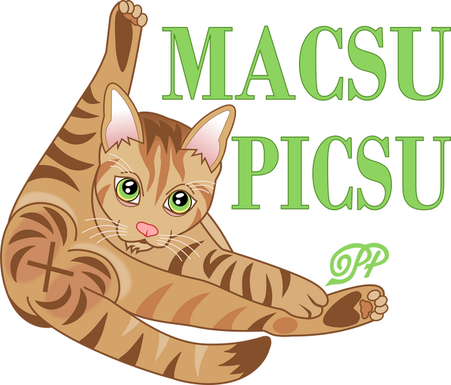 Macsu Picsu