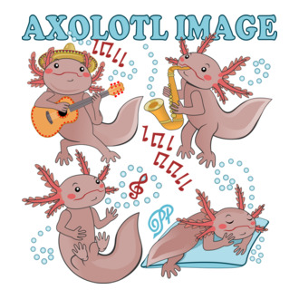 Axolotl Imázs