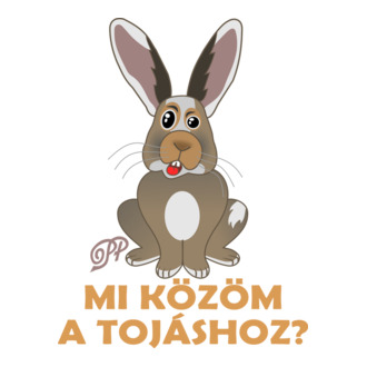 Durcás Nyuszi