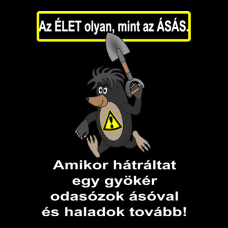Figyelem Gyökér -fehér felirattal