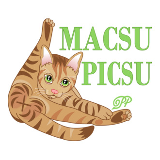 Macsu Picsu