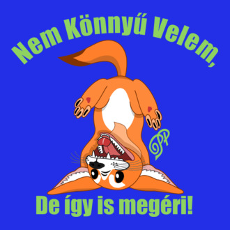 Nem Könnyű Velem