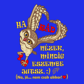 Szerelmes Bagoly Szív