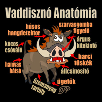 Vaddisznó Anatómia