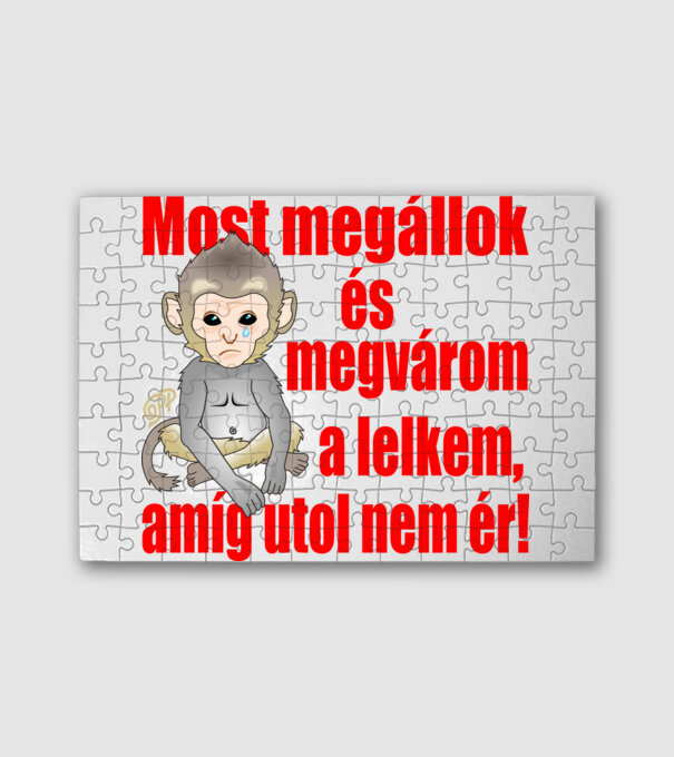  minta fehér pólón